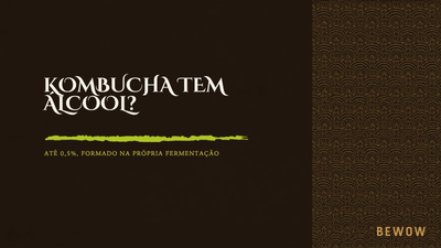 Capa do artigo Kombucha tem álcool, da Bewow Kombucha