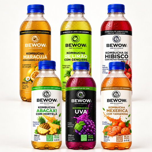 Kombucha Cítricos - Caixa com 6 Sabores, Garrafas de 350 ml