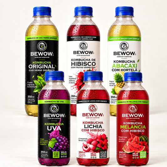 Kombucha Essencial - Caixa com 6 Sabores, Garrafas de 350 ml