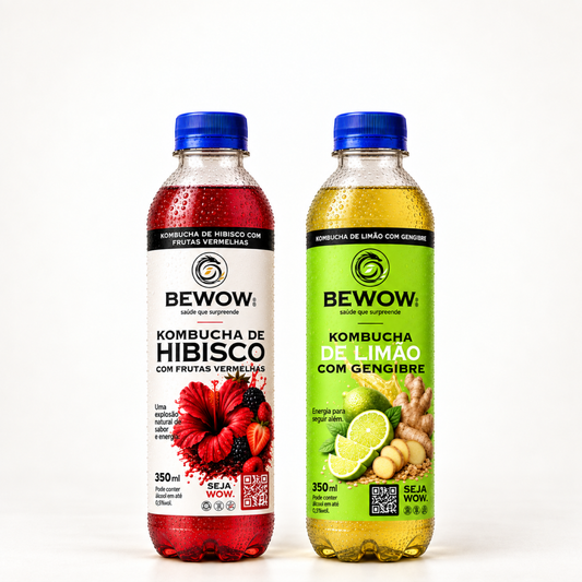 Kombucha Frutas Vermelhas e Limão com Gengibre - Caixa 350 ml