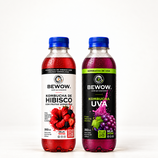 Kombucha Frutas Vermelhas e Uva - Caixa 350 ml