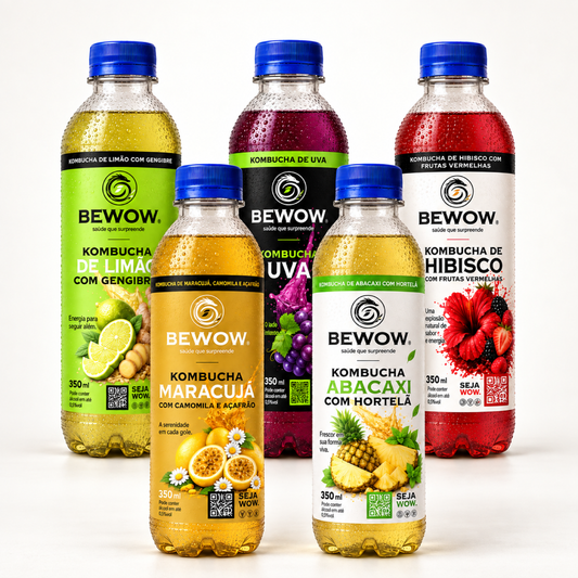 Kombucha Mais Vendidos - Caixa com 5 Sabores, Garrafas de 350 ml