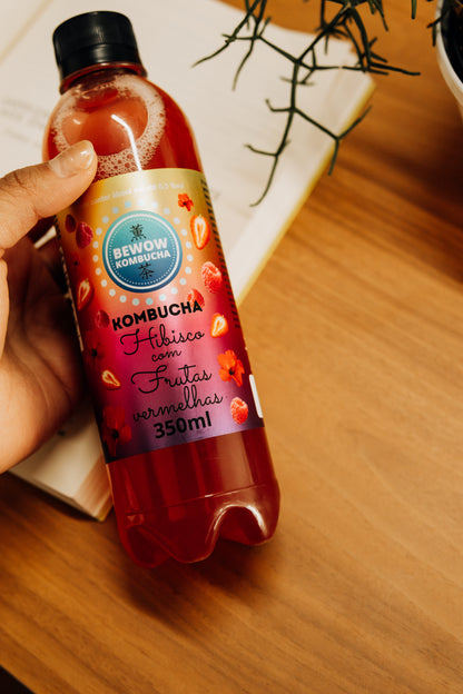 COMBO - Frutas Vermelhas & Limão com Gengibre